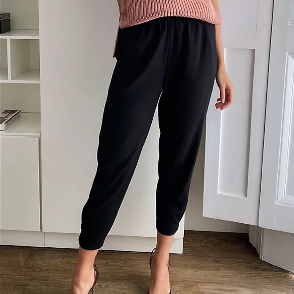 Aritzia Babaton Jogger Dress Pants, M